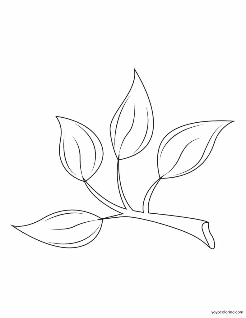 Rama para colorear á plantilla de pintura imprimible