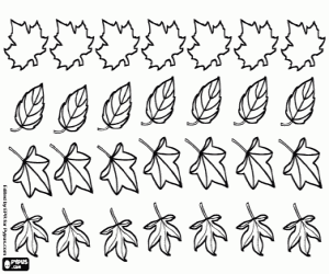 Plants and leaves coloring pages printable games leaves coloring book coloring pages nature coloring pages