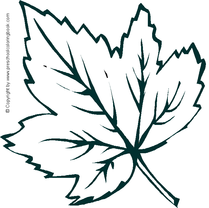 Wwwpreschoolcoloringbook fall coloring page hojas de otoão hojas de uva hojas para colorear