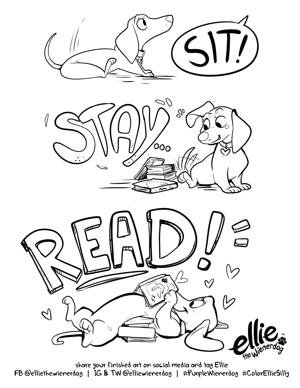 Ellie the wienerdog sit