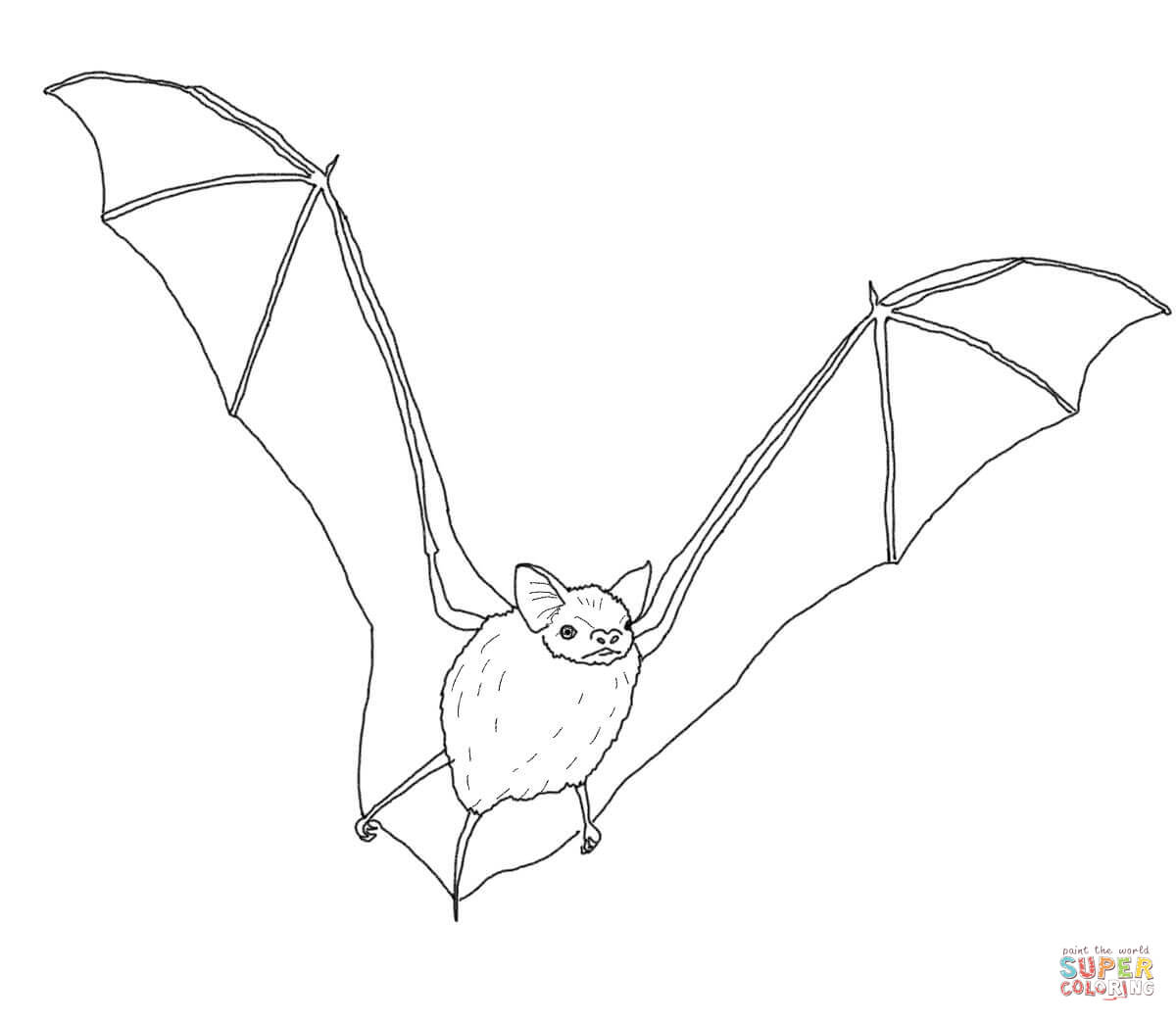 Big brown bat coloring page free printable coloring pages