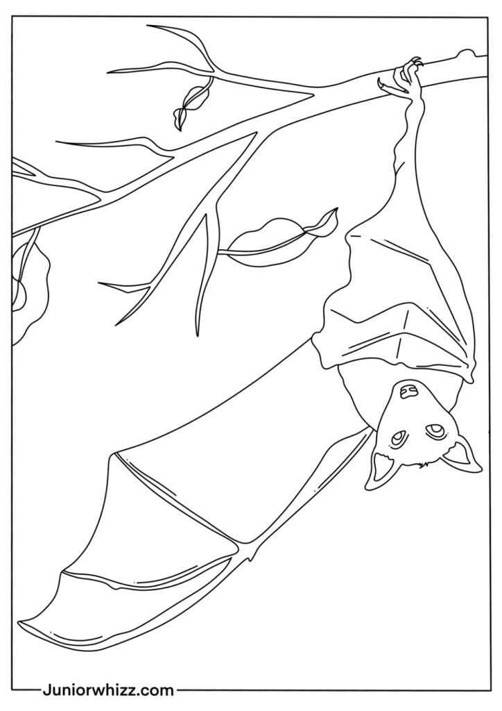 Bat coloring pages with book printable pdfs