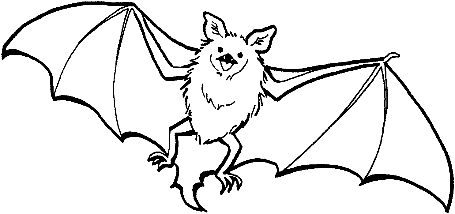 Free printable bat coloring pages for kids