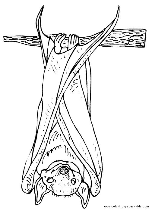 Bat coloring page bat coloring pages bats tattoo design bat art