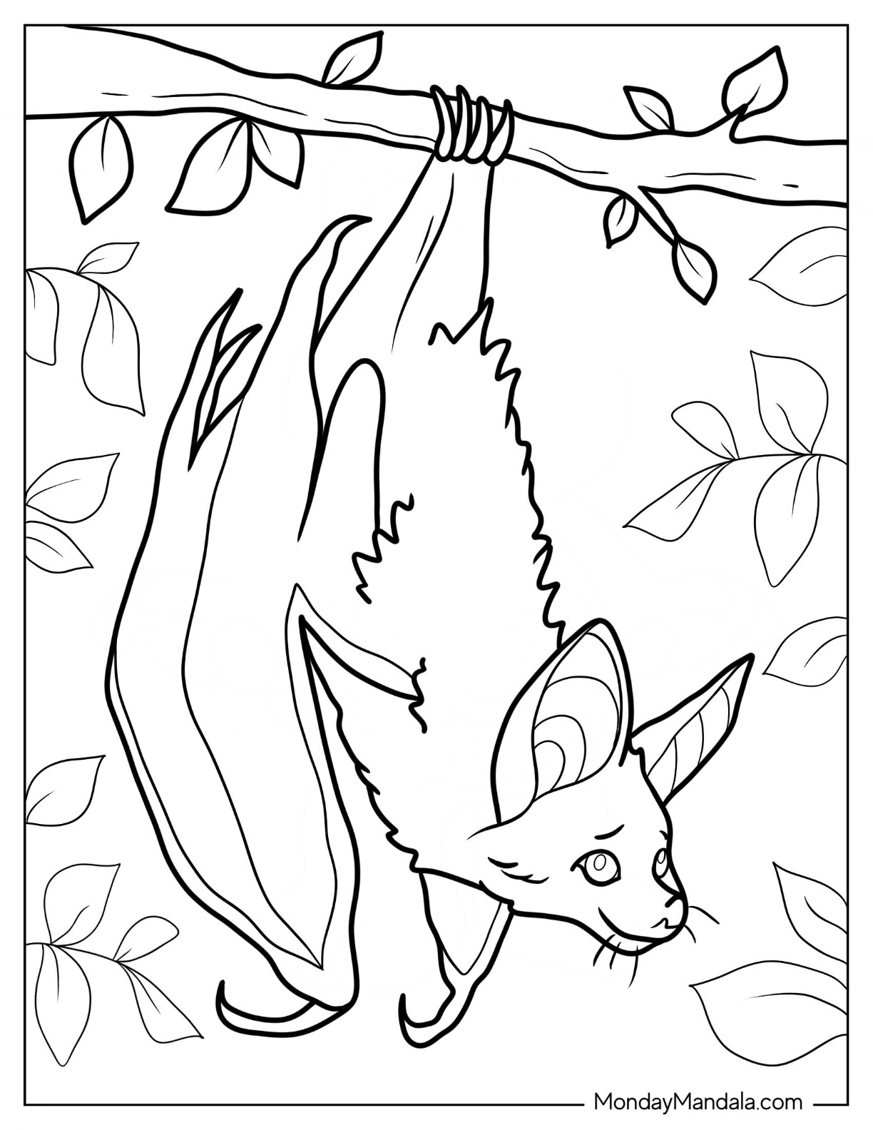 Bat coloring pages free pdf printables