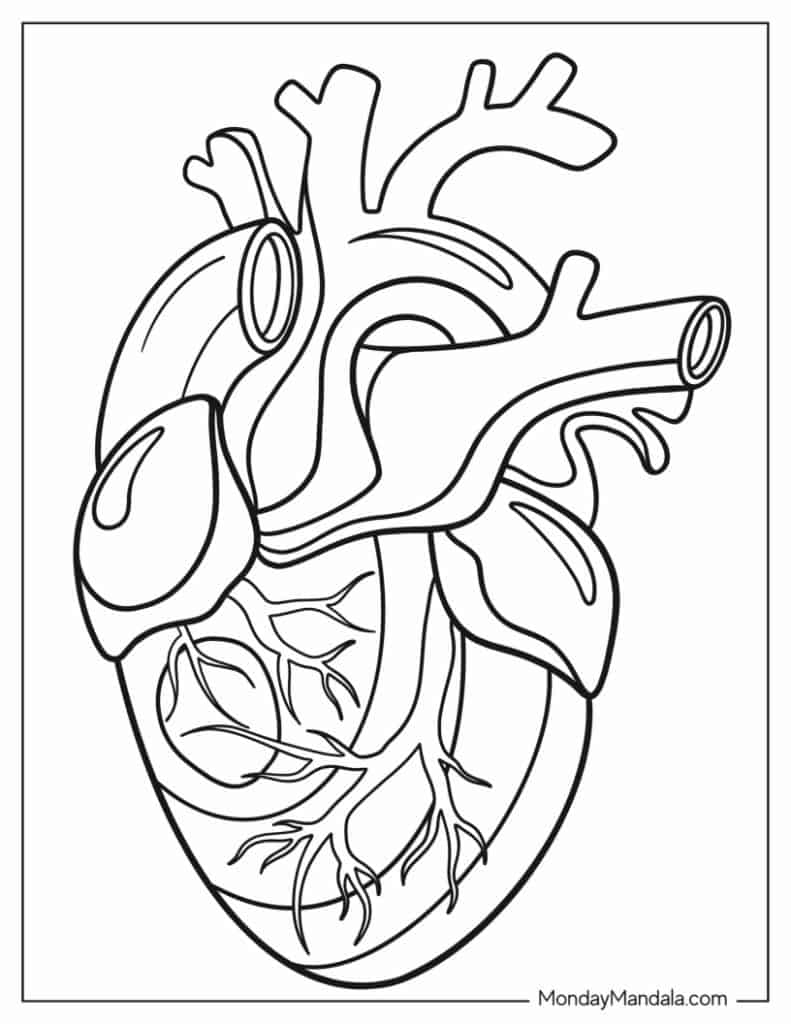 Heart coloring pages free pdf printables