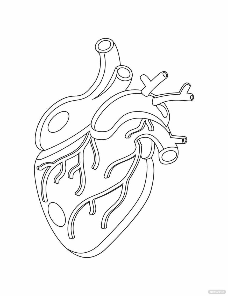 Free real heart coloring page