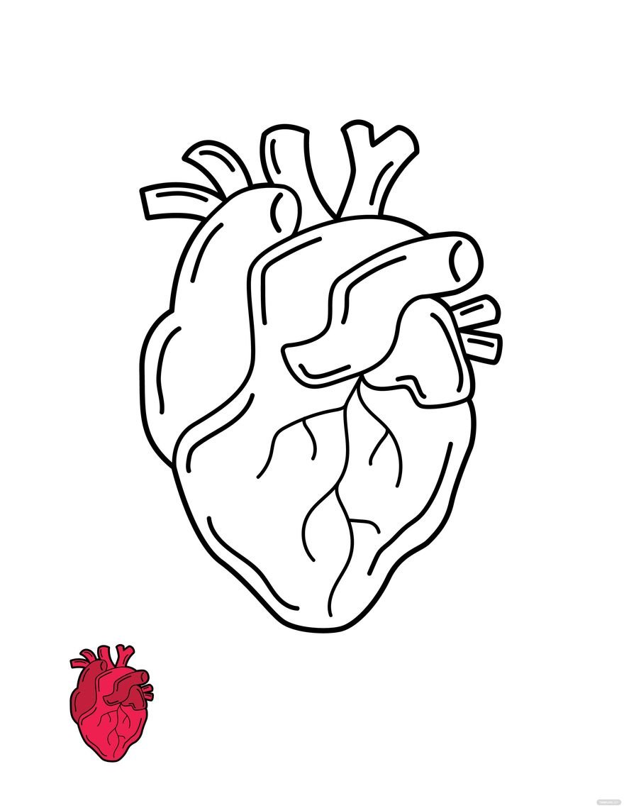 Free real heart outline coloring page