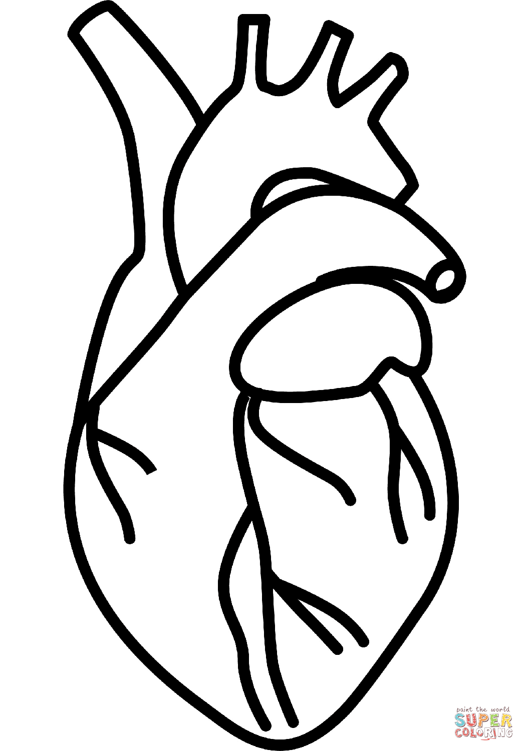 Human heart coloring page free printable coloring pages