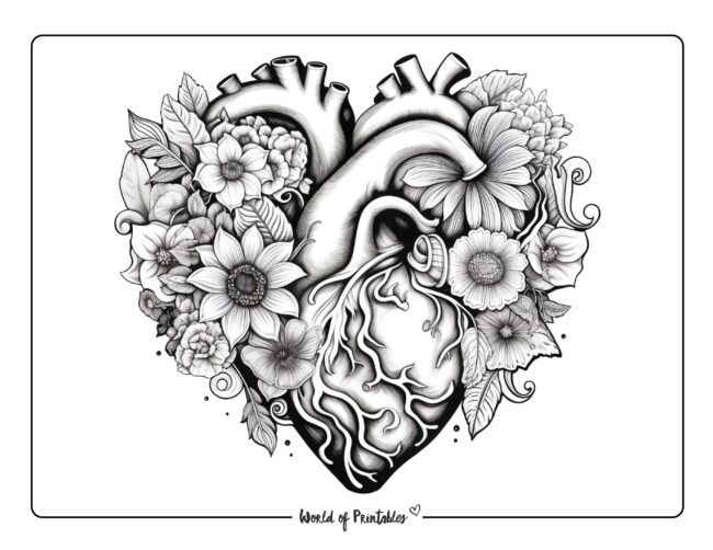 Heart coloring pages