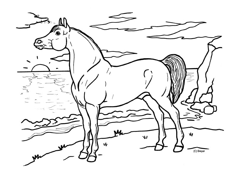 Arabian coloring page