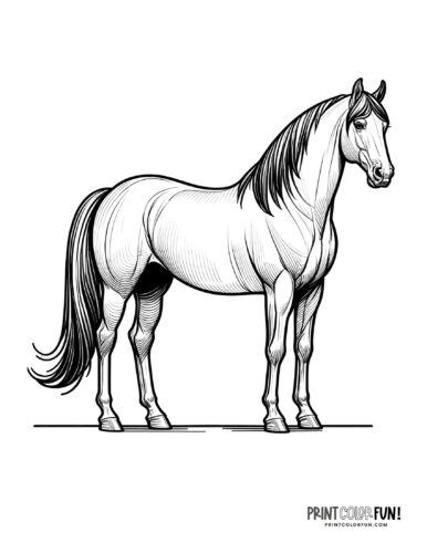 Beautiful horse coloring pages plus crafts educational games to saddle up for fun at