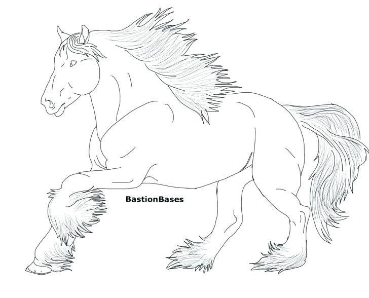 Realistic horse coloring pages for adults horse coloring pages horse coloring books horse coloring