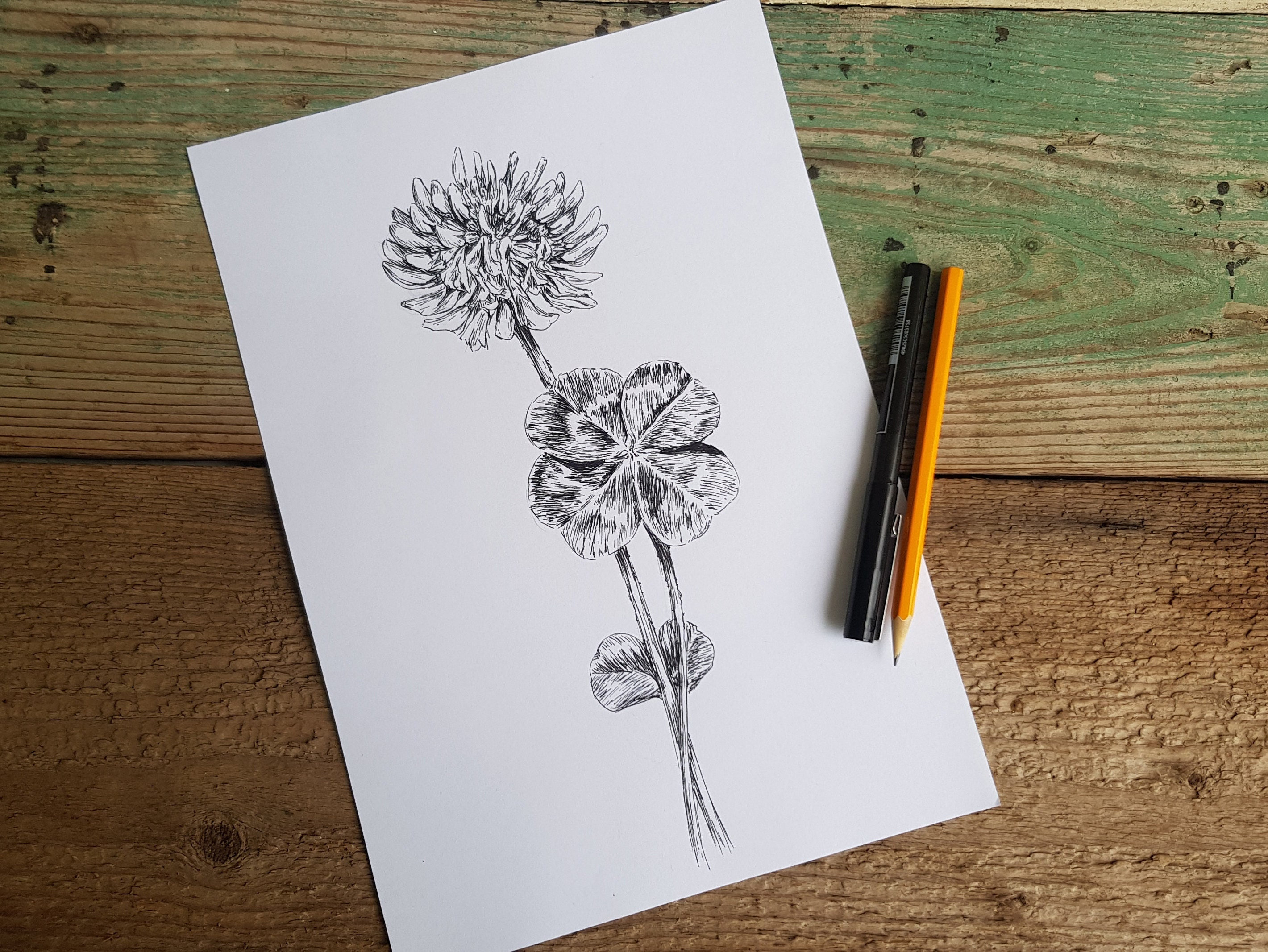 Printable four leaf clover clover drawing art print coloring pages digital wall art clover painting digital download art clover sketch