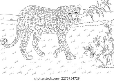 Hakuun leopard realistic animal coloring pages liittyvã kuvituskuva