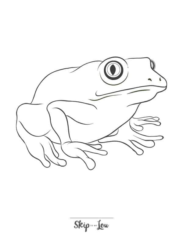 Animal coloring pages skip to my lou