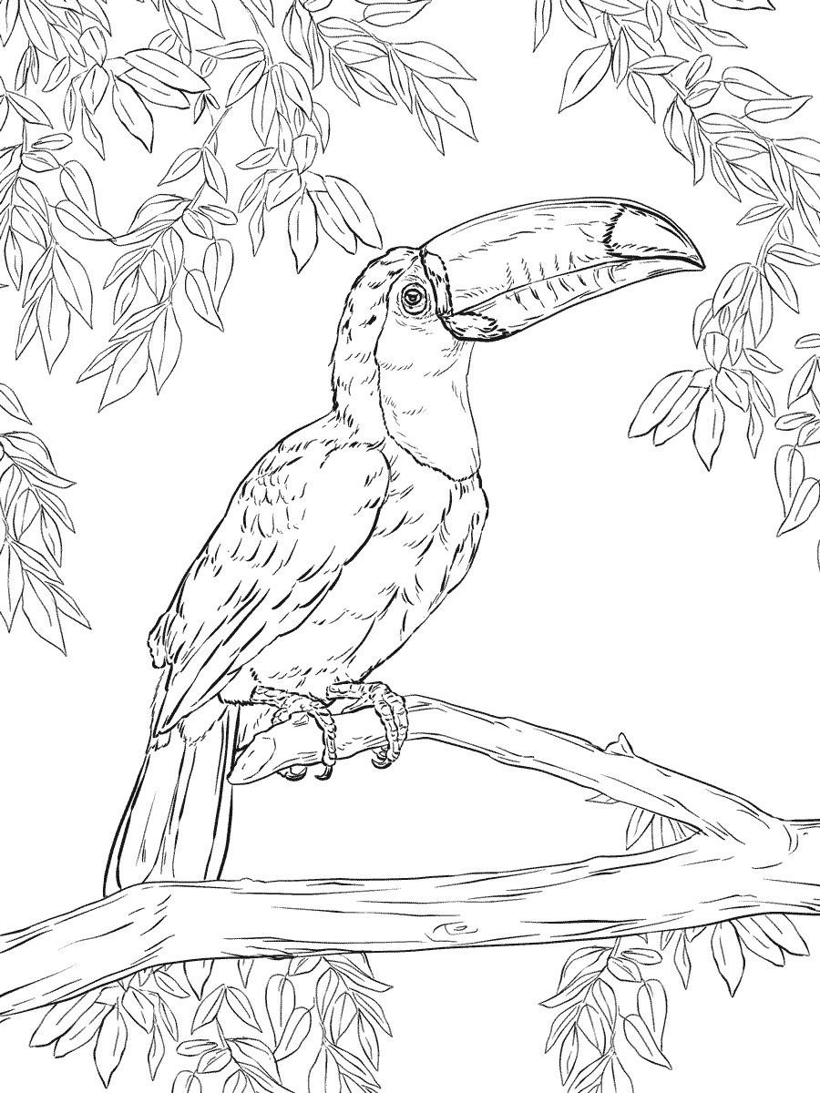 Realistic animal coloring pages printable for free download