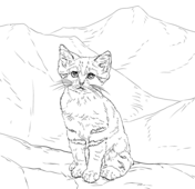 Realistic animals coloring book free coloring pages