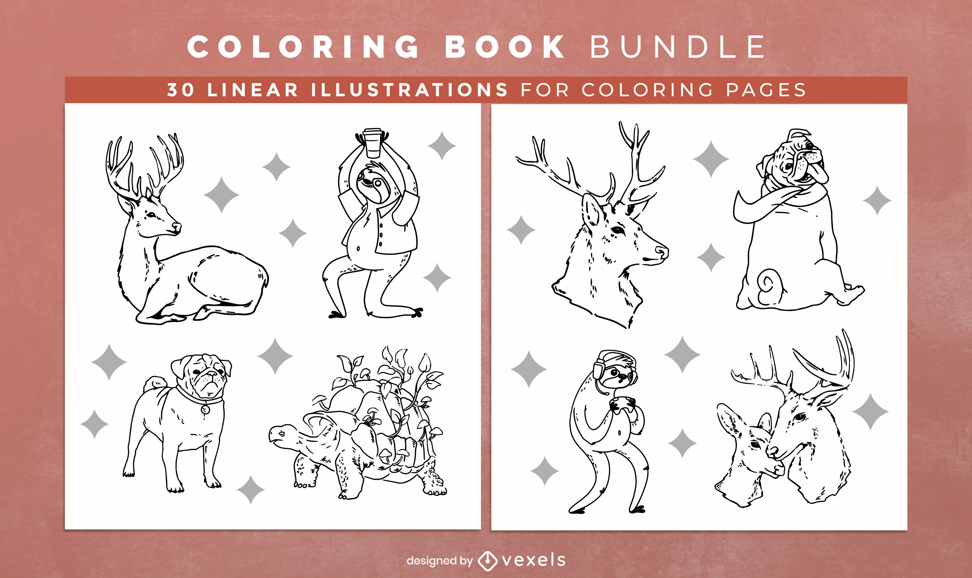 Realistic animals coloring book pages design vector download