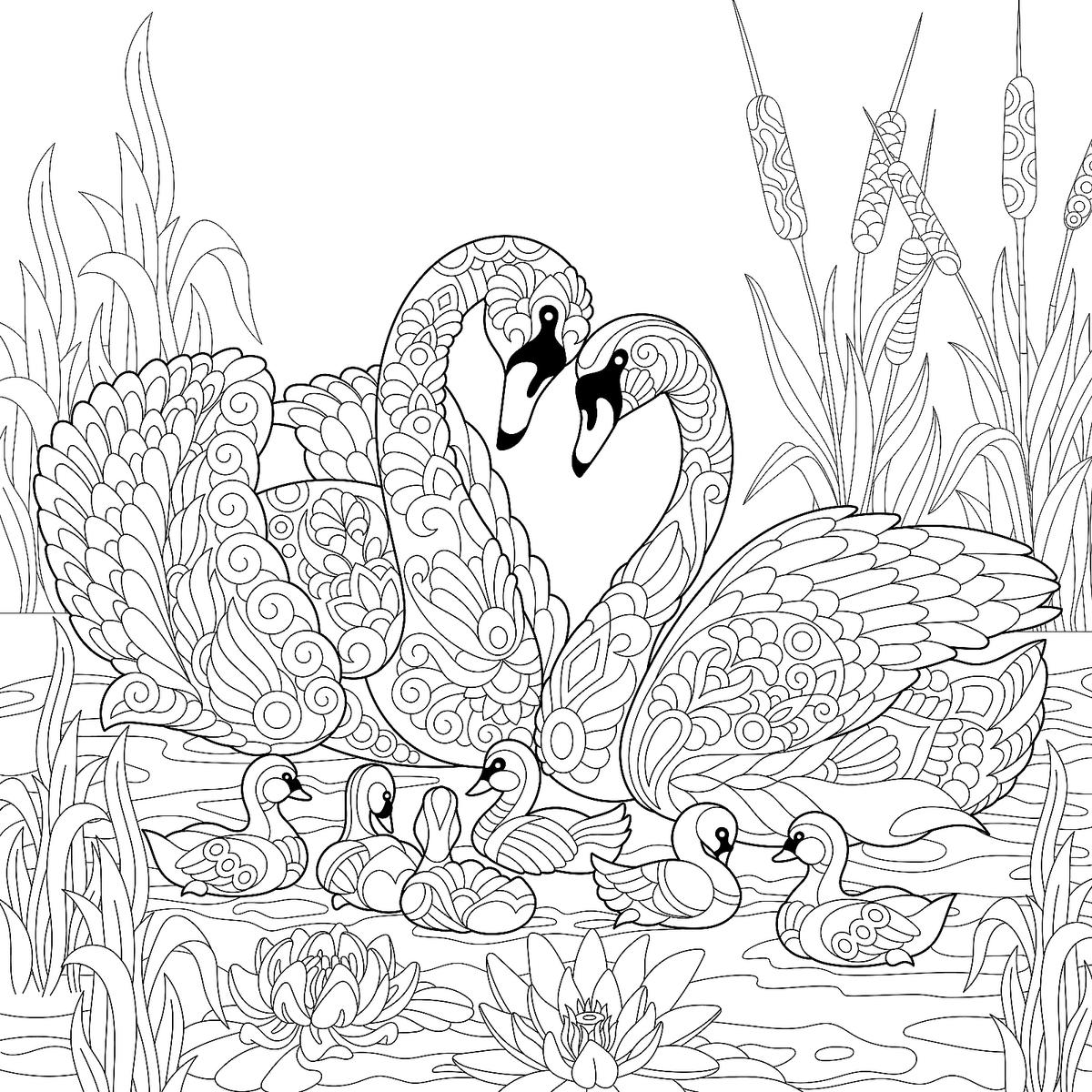 Animal families coloring pages free fun printable coloring pages of animal families printables mom