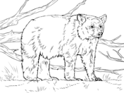 Realistic animals coloring book free coloring pages