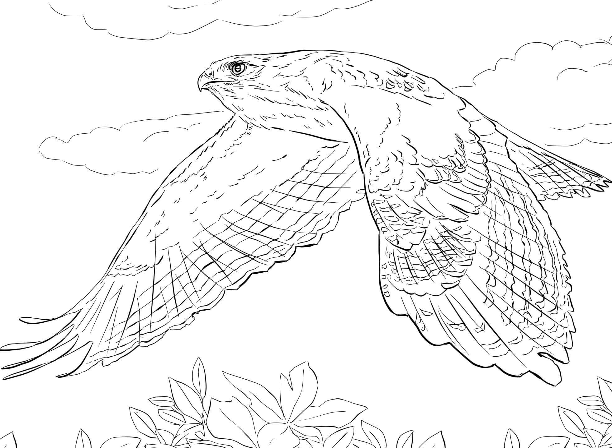 Realistic animal coloring pages
