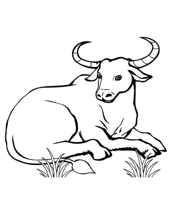 Free easy to print farm animal coloring pages