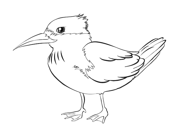 Page real animals coloring pages images