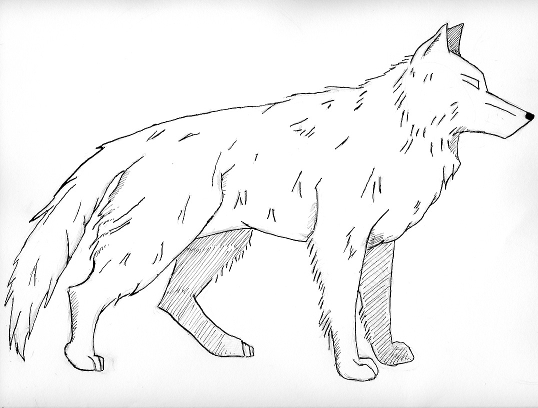 Free printable wolf coloring pages for kids