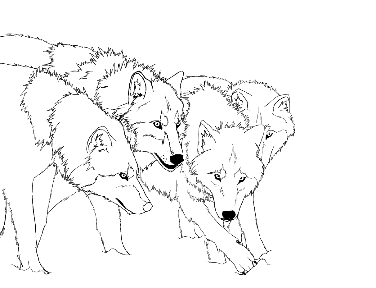 Free printable wolf coloring pages for kids