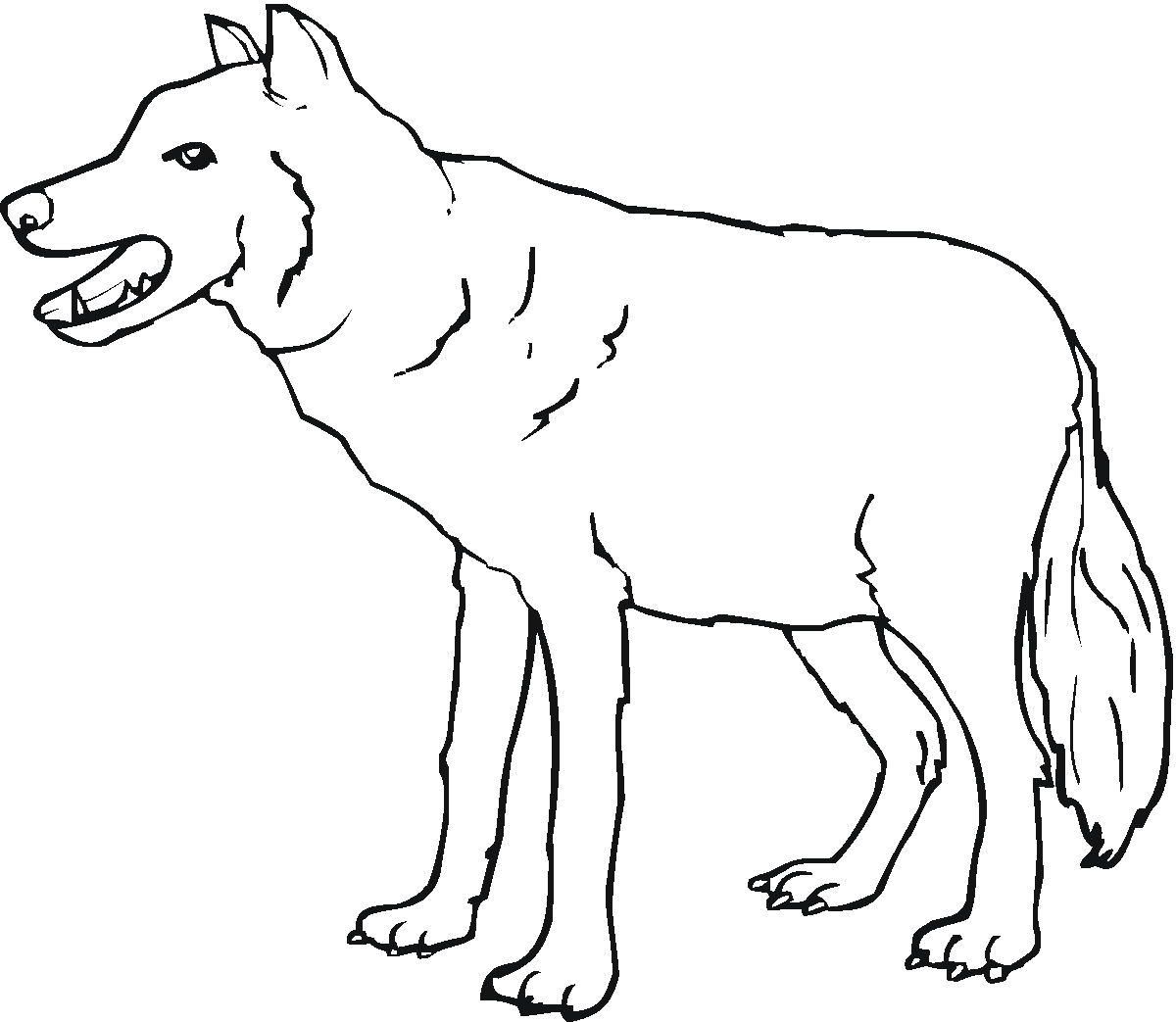 Free printable wolf coloring pages for kids