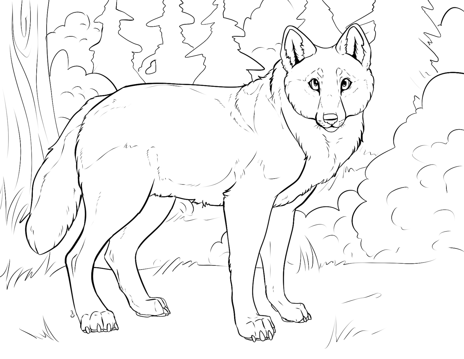 National trails coloring pages us national park service