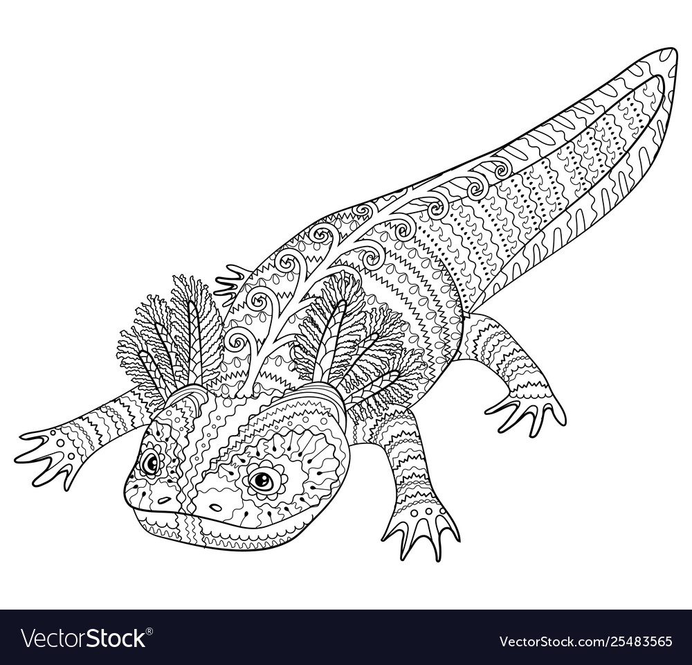 Coloring page with axolotl in patterned style vector image