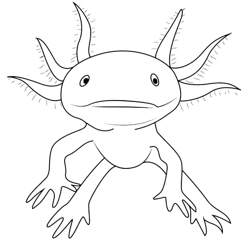 Axolotl coloring pages printable for free download
