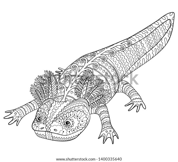 Hakuun coloring page cute axolotl patterned style liittyvã vektorikuva rojaltivapaa