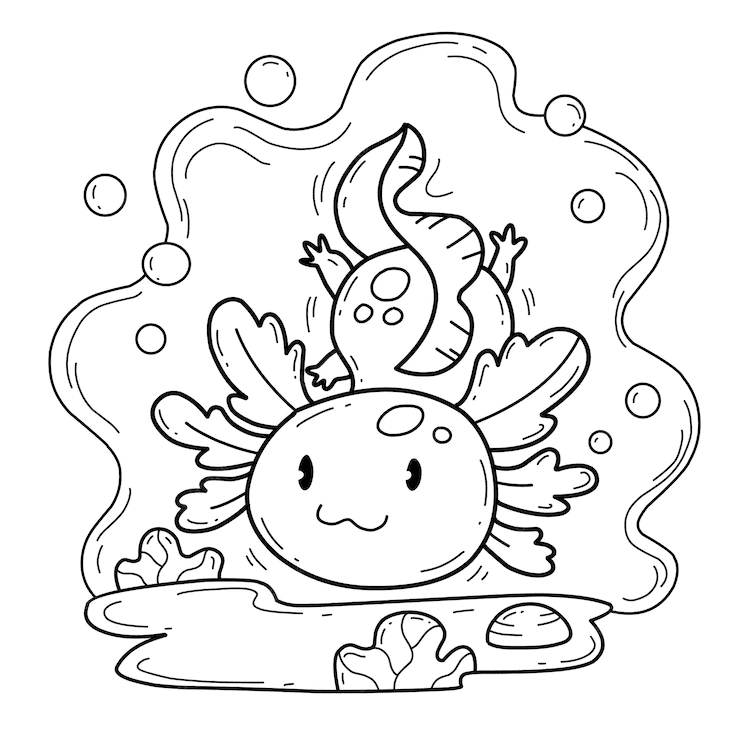 Axolotl coloring pages printable for free download