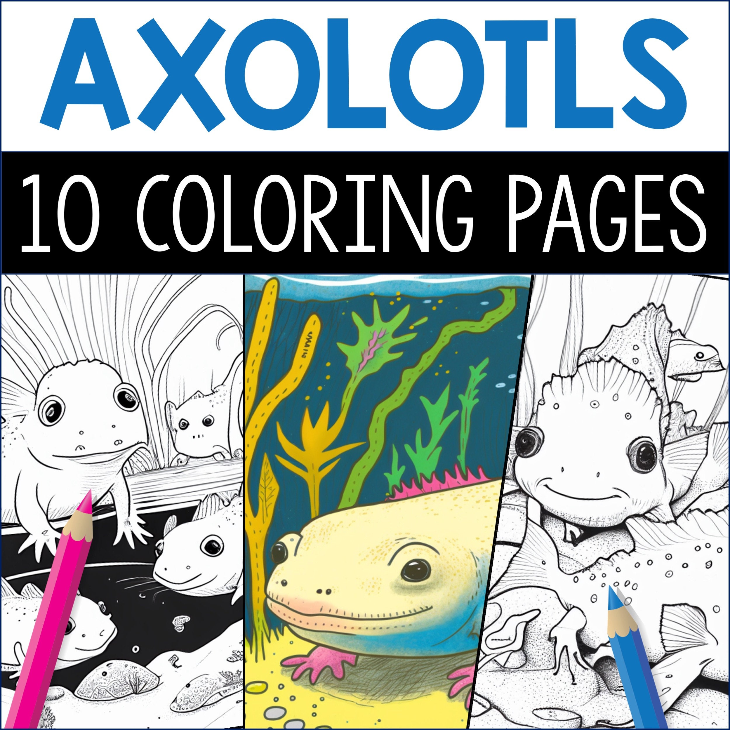Axolotl coloring book digital download kids printable coloring pages cute amphibian activity educational fun art pdf gift for children