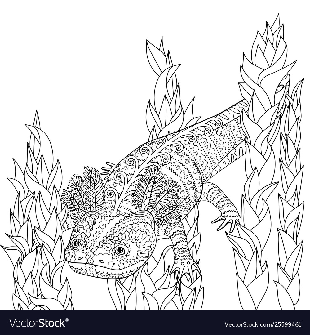 Coloring page with axolotl in patterned style vector image