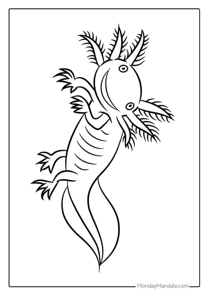 Axolotl coloring pages free pdf printables