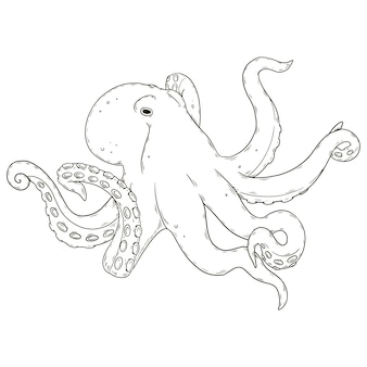 Page axolotl coloring pages printable images