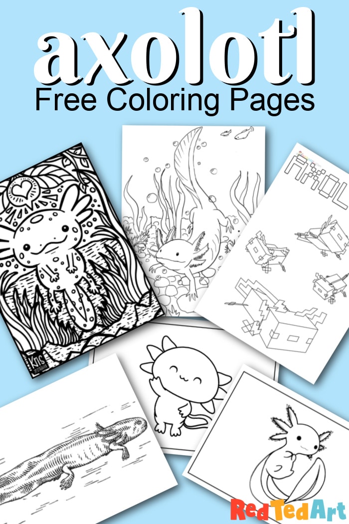 Free axolotl coloring pages
