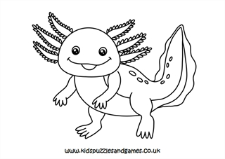 Axolotl louring sheets
