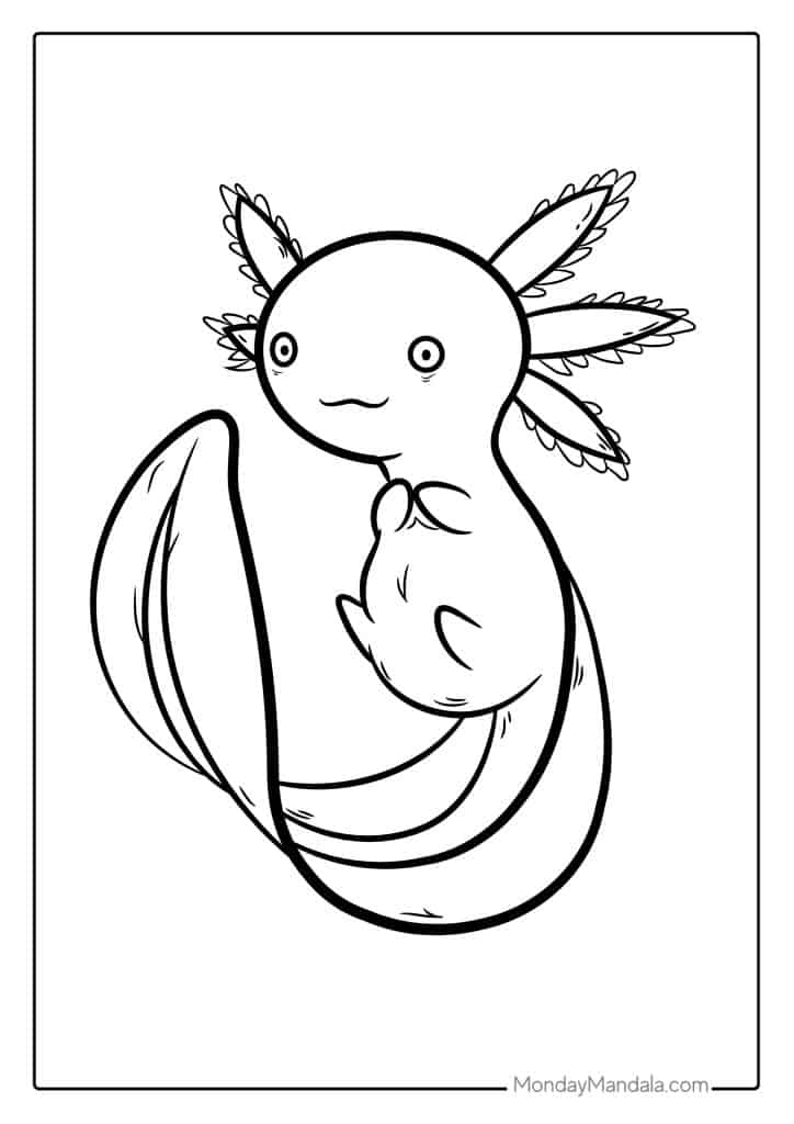 Axolotl coloring pages free pdf printables