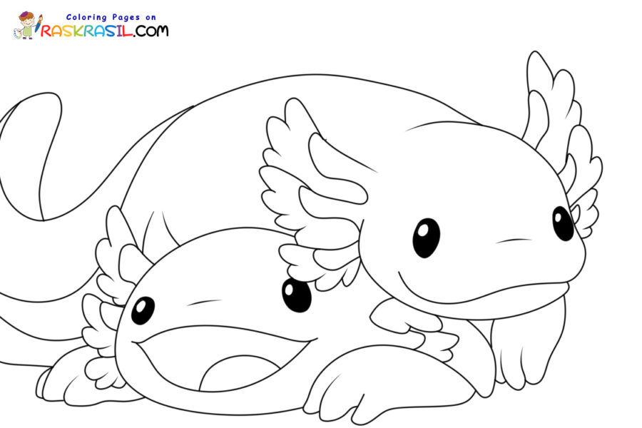 Axolotl coloring pages