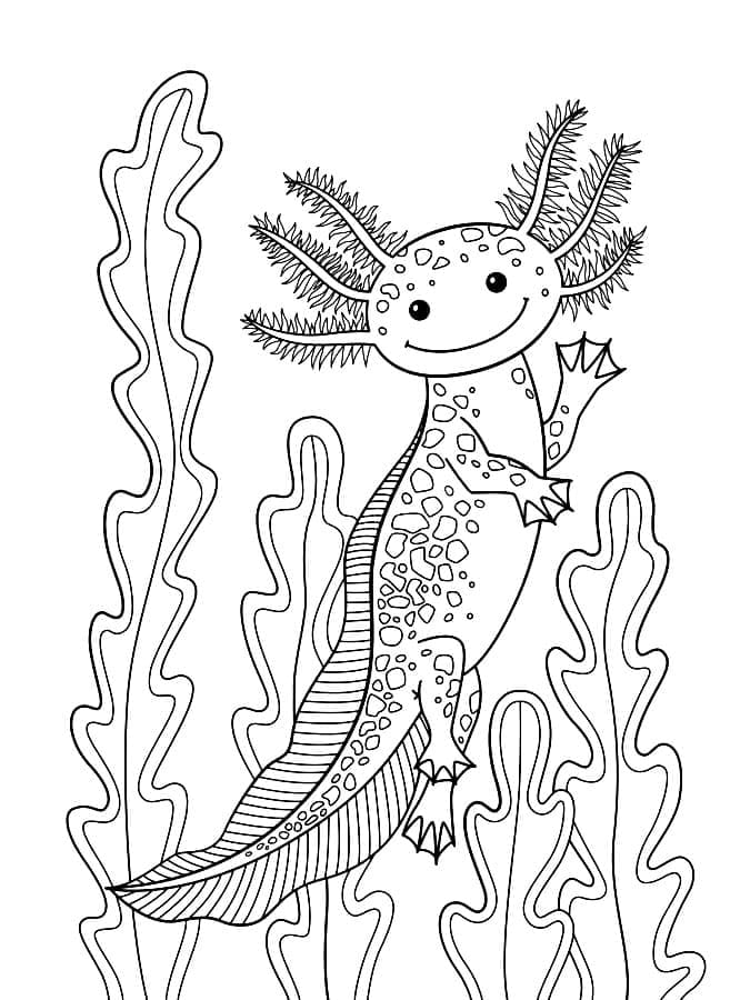 Axolotl coloring pages