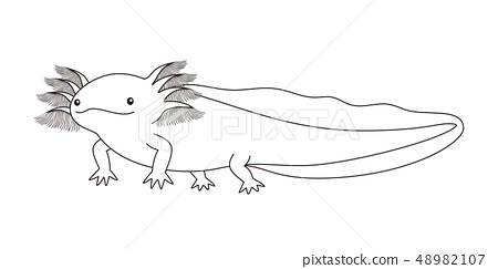 Wooper rolled whole body axolotl coloring