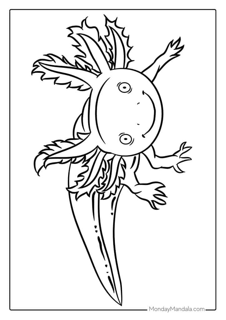 Axolotl coloring pages free pdf printables