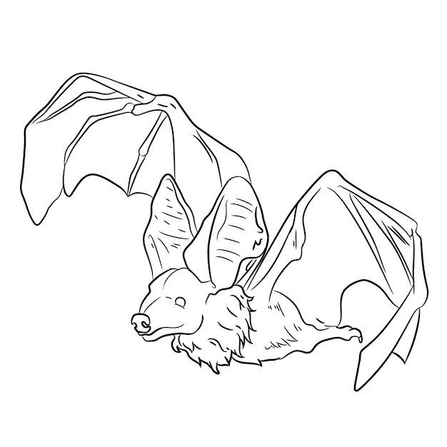 Page bats coloring page images
