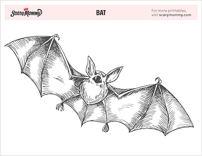 Print out these free bat coloring pages and give fangs for bite ideas
