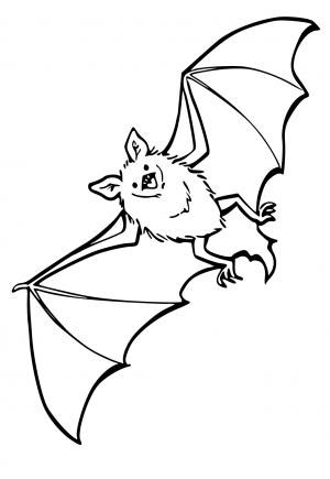 Free printable bat coloring pages for adults and kids